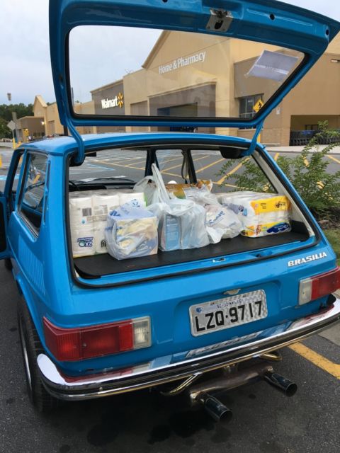 1976 Volkswagen Thing Brasilia - photo 11