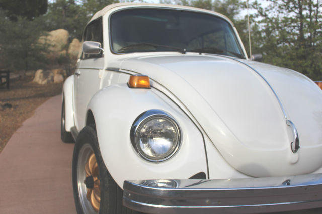 1977 Volkswagen CHAMPAGNE EDITION - photo 3