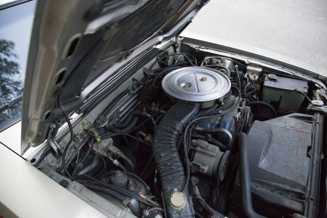 1979 Ford Mustang Indy Pace Car - photo 11