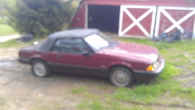 1989 Ford mustang lx - photo 4
