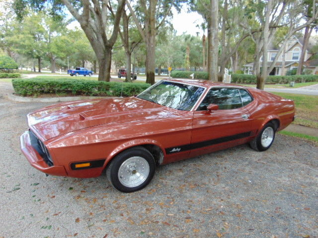 1973 Ford Mustang Mach 1 - photo 5