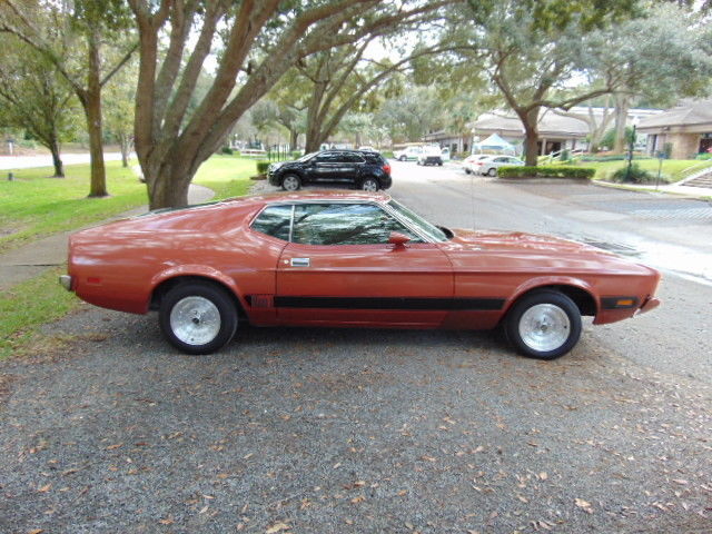 1973 Ford Mustang Mach 1 - photo 8