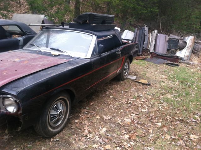 Mustangs 1966 6 cyl coupe & 1966 8 cyl convertable both needing restorations 1966 Ford Mustang convertable & coupe