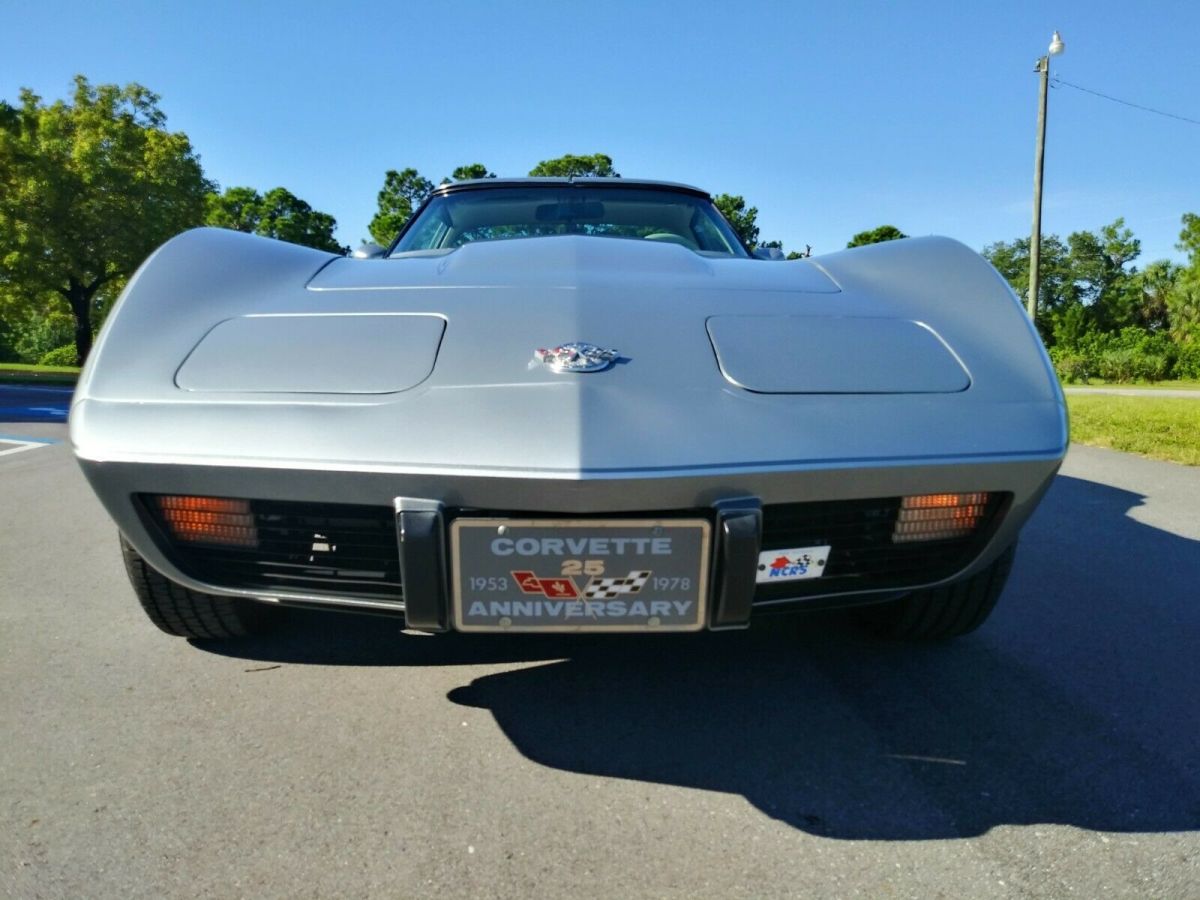1978 Chevrolet Corvette Anniversary Edition - photo 10