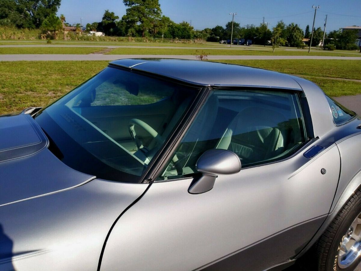 1978 Chevrolet Corvette Anniversary Edition - photo 12