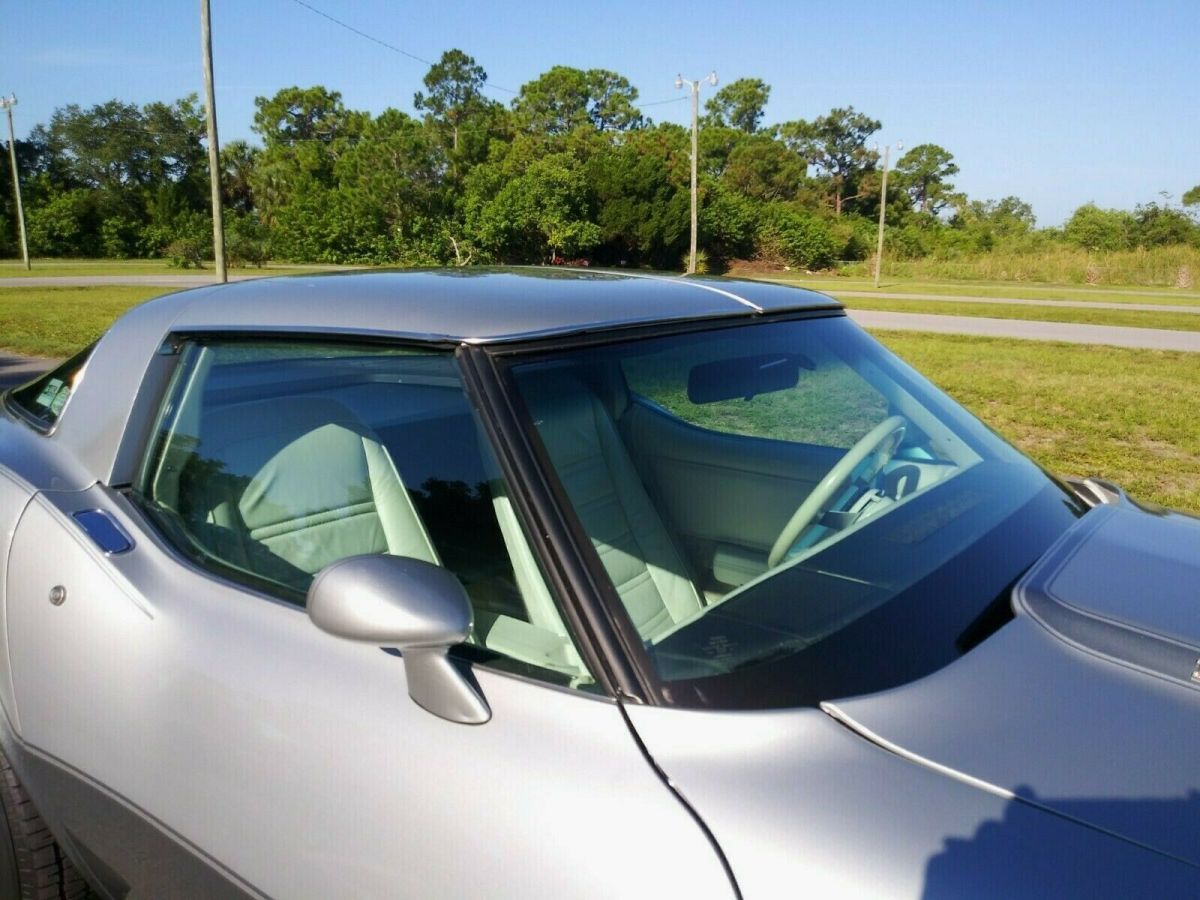1978 Chevrolet Corvette Anniversary Edition - photo 13