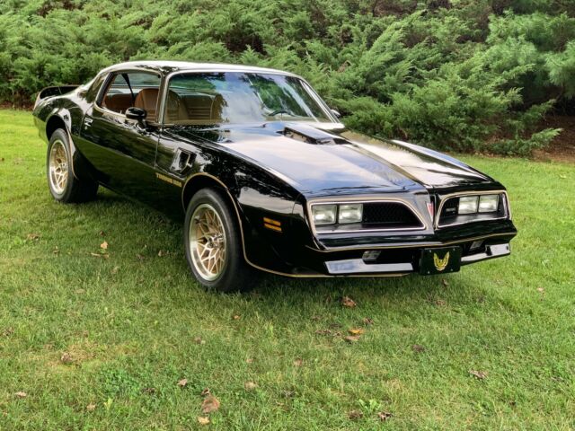 Near Mint Condition 1978 Pontiac Trans-Am 1978 Pontiac Trans Am
