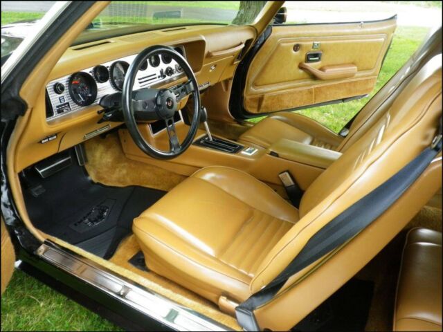 1978 Pontiac Trans Am - photo 12