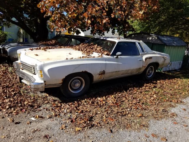 1974 Chevrolet Monte Carlo Chrome - photo 2