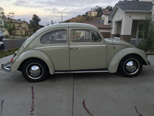 New Panama Beige paint, 1835 rebuilt engine, great condition 1964 Volkswagen Beetle - Classic