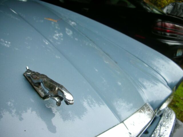 1985 Jaguar XJ6 - photo 4