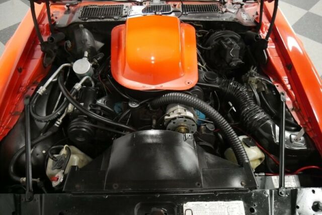 1979 Pontiac Firebird Trans Am - photo 4
