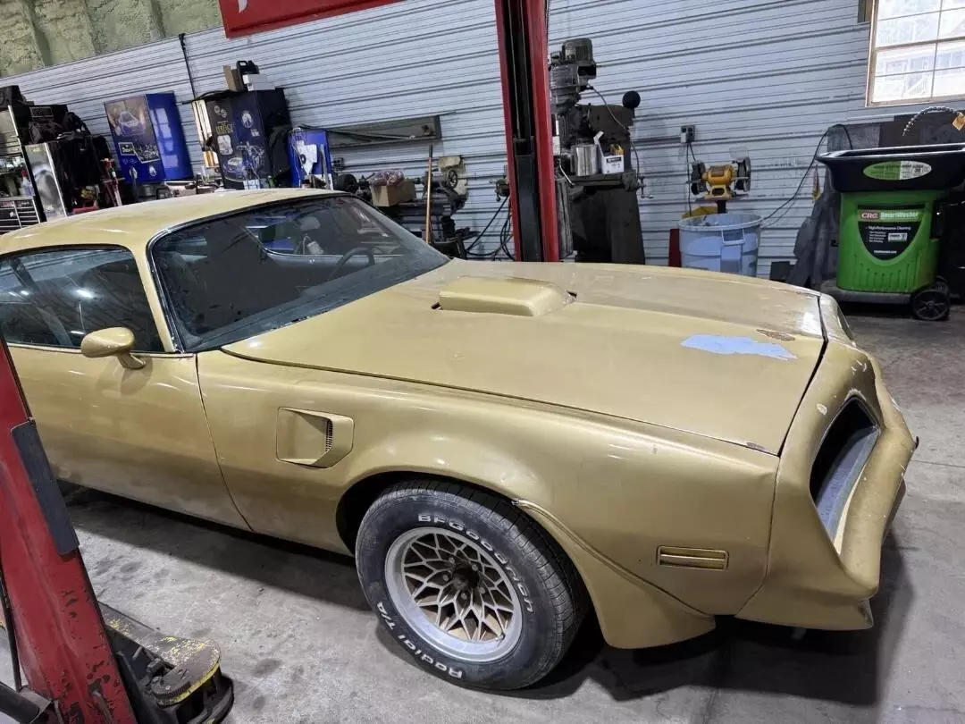 Nice Running & driving Gold Trans Am Needs paint Decent Interior Nice Driver 1978 Pontiac Firebird black interior