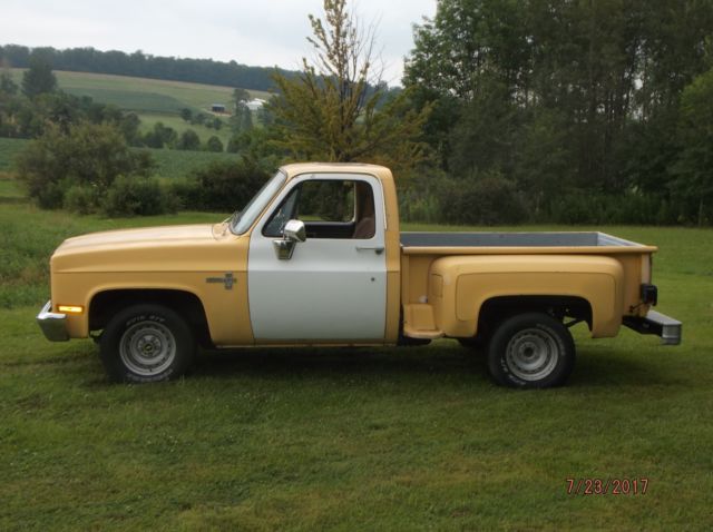 1981 Chevrolet C-10 - photo 3