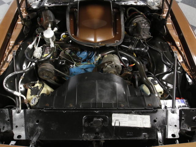 1979 Pontiac Firebird - photo 3