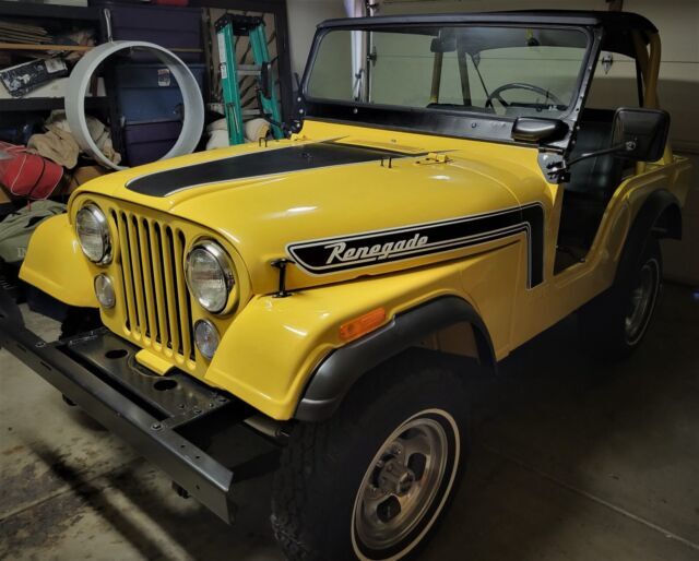 1975 Jeep Renegade - photo 4