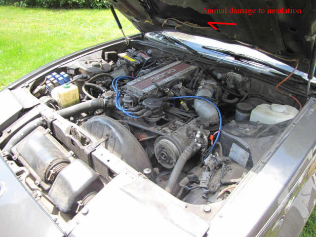 1984 Nissan 300ZX - photo 10