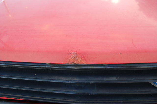1984 Nissan Other NISSAN BLUE BIRD - photo 13