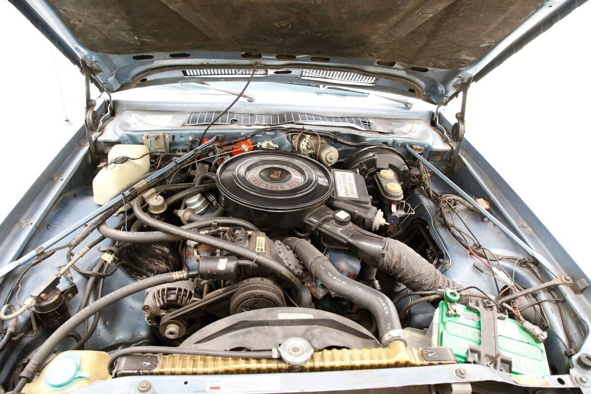 1979 Chrysler LeBaron Hardtop - photo 9