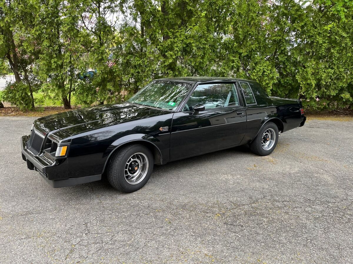 1986 Buick Regal Grand National Intercooled Turbo - photo 2