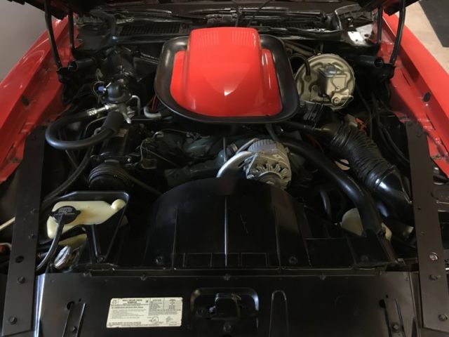 1974 Pontiac Trans Am - photo 11