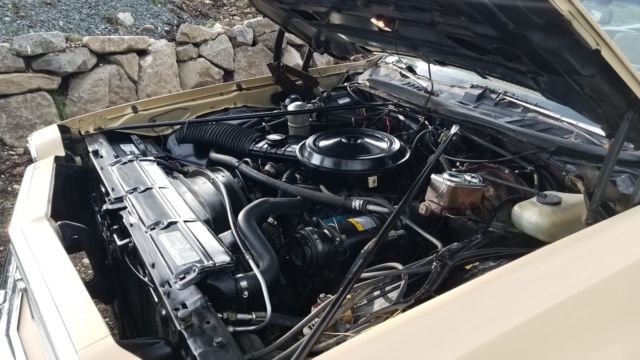 1977 Chevrolet Malibu - photo 12