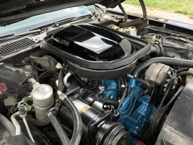 1977 Pontiac Trans Am - photo 12
