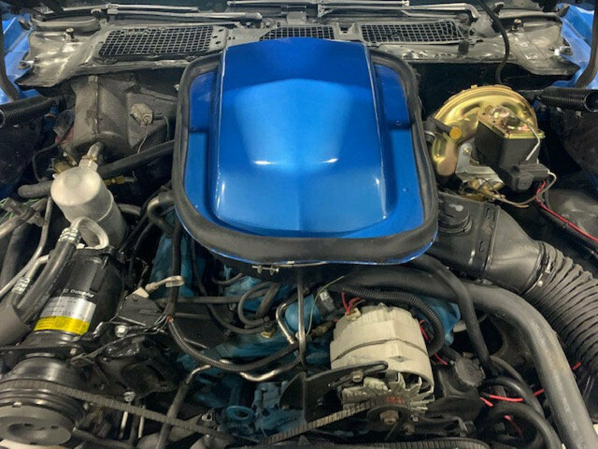 1978 Pontiac Trans Am NO RESERVE - photo 8