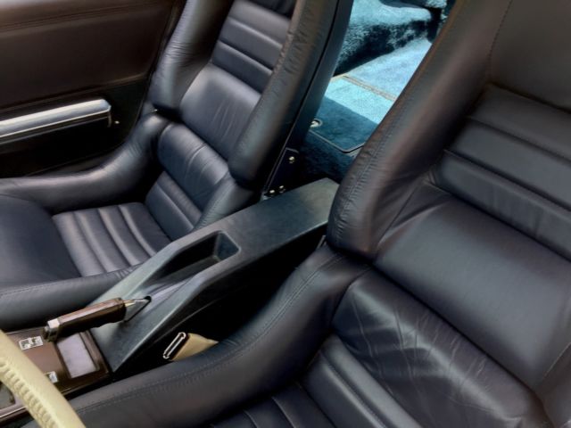 1979 Chevrolet Corvette 2-Door Coupe T-Tops - photo 12