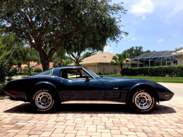 1979 Chevrolet Corvette 2-Door Coupe T-Tops - photo 6
