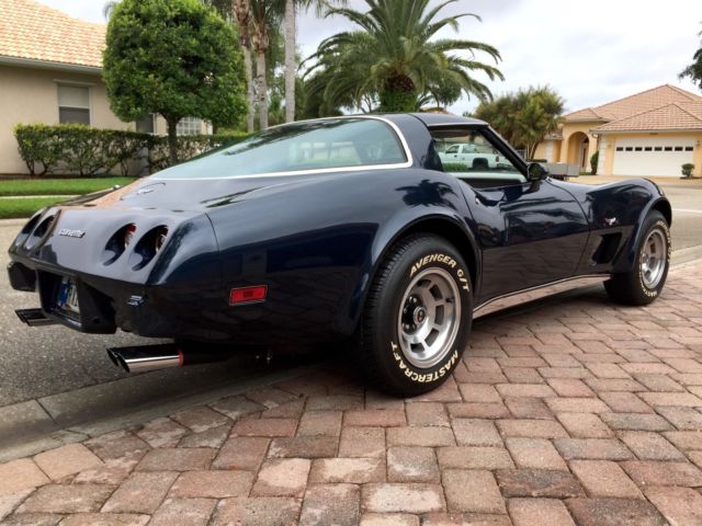 1979 Chevrolet Corvette 2-Door Coupe T-Tops - photo 8