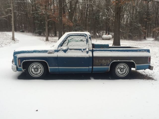 1979 Chevrolet C-10 Silverado - photo 6
