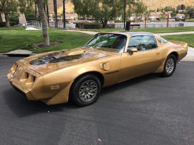 1979 Pontiac Trans Am Trans am