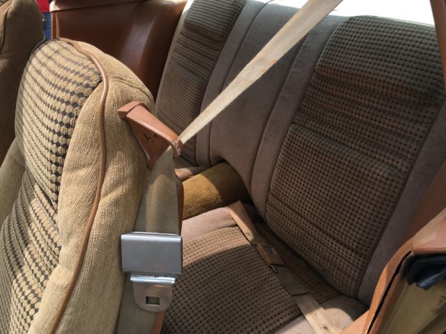 1979 Pontiac Trans Am Trans am - photo 11