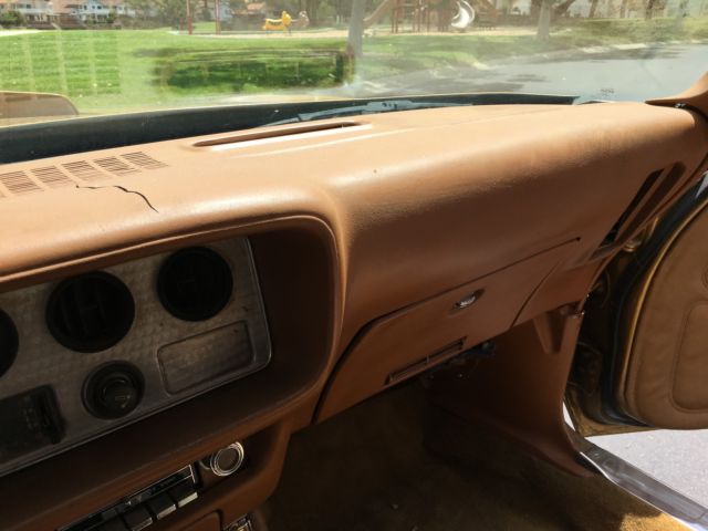 1979 Pontiac Trans Am Trans am - photo 12