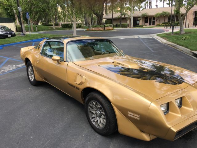 1979 Pontiac Trans Am Trans am - photo 8
