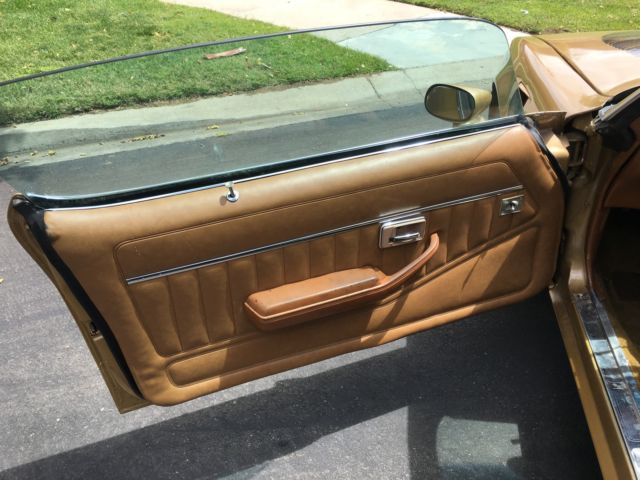 1979 Pontiac Trans Am Trans am - photo 9
