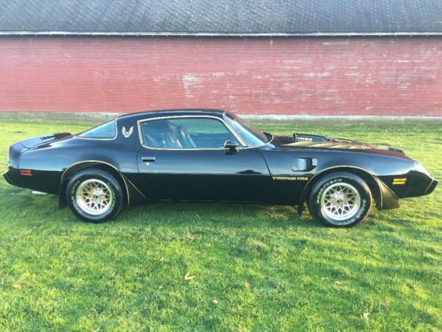 No Reserve 1979 Pontiac Trans Am original paint rust free WS6 bandit look 1979 Pontiac Trans Am Trans am starlight black