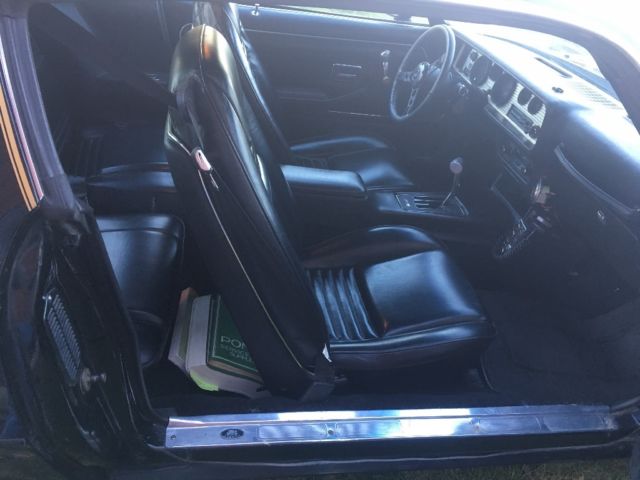 1979 Pontiac Trans Am Trans am starlight black - photo 12