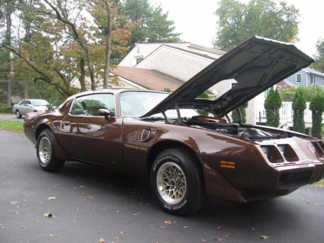 NO RESERVE!! 1979 TRANS AM L78 WS6 FRAME OFF RESTORED! 1979 Pontiac Firebird