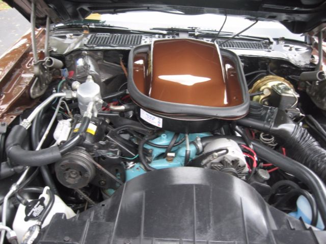 1979 Pontiac Firebird - photo 10