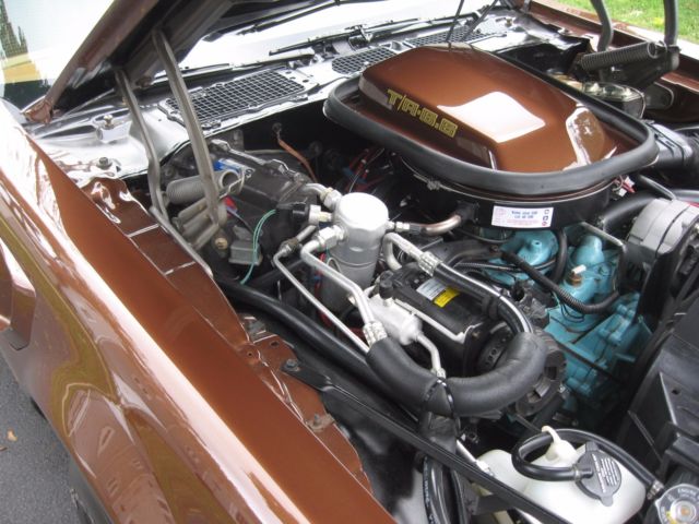 1979 Pontiac Firebird - photo 11