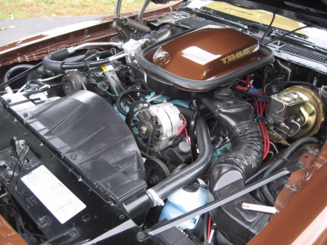 1979 Pontiac Firebird - photo 12