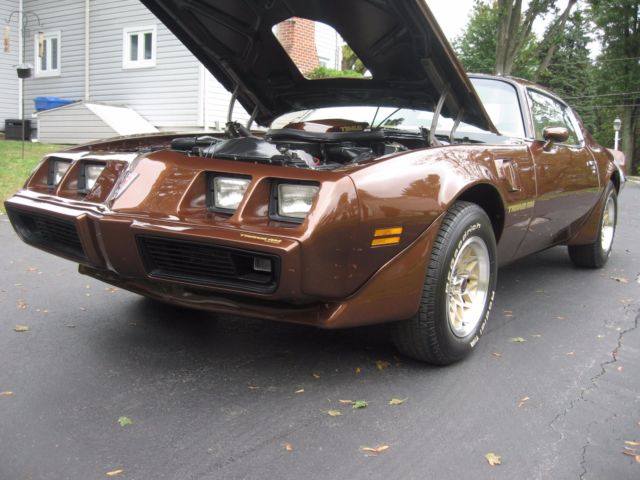 1979 Pontiac Firebird - photo 2