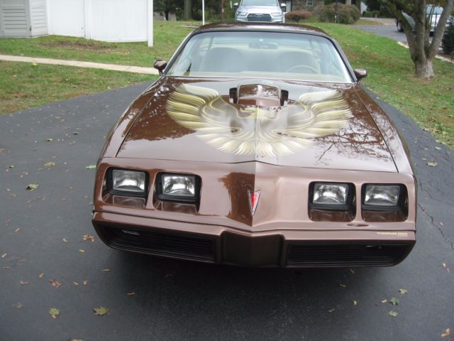 1979 Pontiac Firebird - photo 3