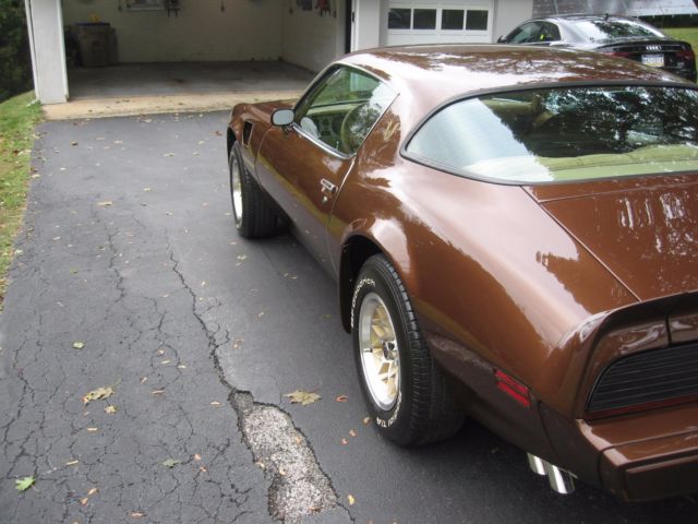 1979 Pontiac Firebird - photo 6