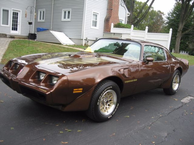 1979 Pontiac Firebird - photo 7