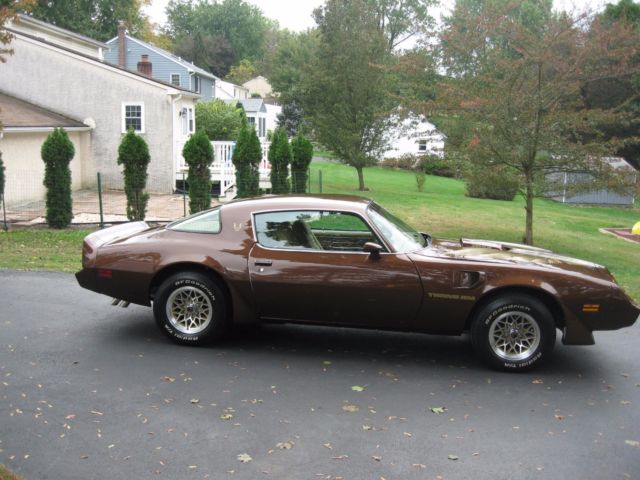 1979 Pontiac Firebird - photo 8
