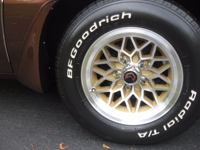 1979 Pontiac Firebird - photo 9