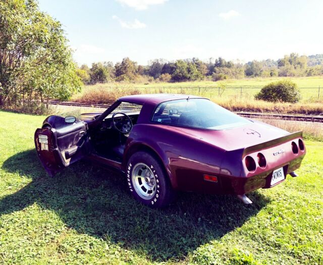1981 Chevrolet Corvette - photo 10